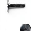 Hillman Sidewalk Bolt 1/4" x 2" Stainless Steel Fastener, 100 pcs-2