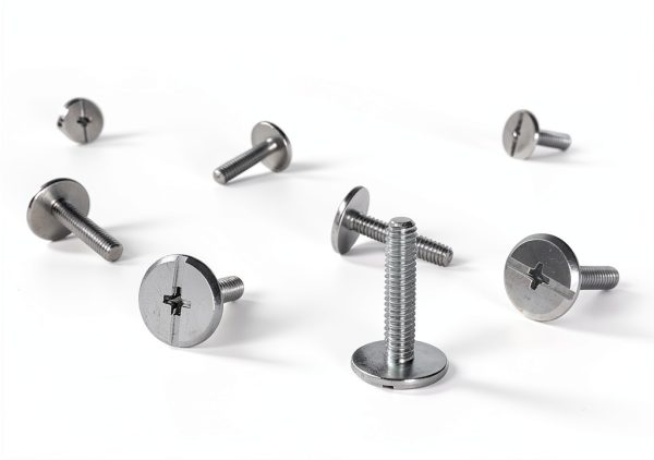Hillman Sidewalk Bolt 1/4" x 2" Stainless Steel Fastener, 100 pcs-3